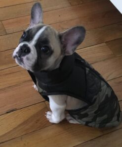 Mr. Peanut's Grooming Glove Brush and Deshedding Aid - Pet Hair Remover Mitt - for Long and Short Hair Grooming of Dogs, Horses, Bunnies and Some Agreeable Cats 41 515TbgKgFPL