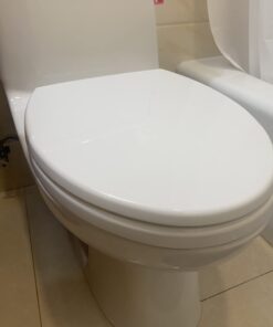 TOTO Transitional SoftClose SS114#01 Elongated Soft Close SEAT, Cotton White 50 515TzuTb8mL