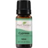 Plant Therapy Cypress Essential Oil 100% Pure, Undiluted, Natural Aromatherapy, Therapeutic Grade 10 mL (1/3 oz) 21 515ktIEpFvL
