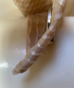 DIYMAG Powerful Neodymium Disc Magnets with Double-Sided Adhesive, Strong Permanent Rare Earth Magnets for Fridge, DIY, Building, Scientific, Craft, and Office Magnets, 1.26 inch Diameter, Pack of 6 32x3 6P 37 515rW6qOPgL