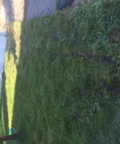 Rain Bird 32ETI Easy to Install In-Ground Automatic Sprinkler System Kit Automatic Sprinkler System Kit w/ Timer 41 515zsovCB1L