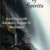 The Intercession of Spirits: Working with Animals, Angels & Ancestors 37 5162zjLyWKL