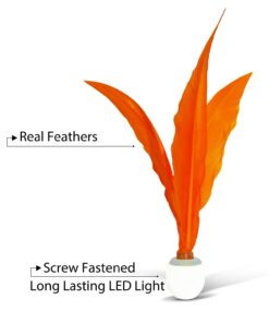 Paddle Ball Game Jazzminton Deluxe with LED Birdie - Indoor/Outdoor Game for Kids, Teens and Adults 19 516HXNR2VpL