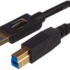 Amazon Basics USB-A to USB-B 3.0 Cable, 4.8Gbps High-Speed with Gold-Plated Plugs, 6 Foot, Black 6 Feet 1-Pack 22 516HqOl6OFL