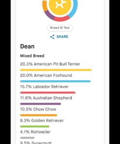 Embark Breed Identification Kit | Most Accurate Dog DNA Test | Test 350+ Dog Breeds | Breed ID Kit with Ancestry & Family Tree 54 516Pvz4F6L