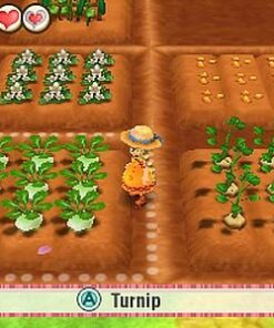 Story of Seasons: Trio of Towns - Nintendo 3DS US Packaging 30 516gzcyj8gL