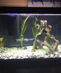 Marina Decor Mangrove Root, Large 43 516jj2eYI7L