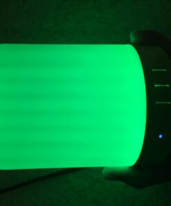 Elecstars Touch Bedside Lamp - with Bluetooth Speaker, Dimmable Color Night Light, Outdoor Table Lamp with Smart Touch Control, Best Gift for Men Women Teens Kids Children Sleeping Aid 59 516upumRvaL