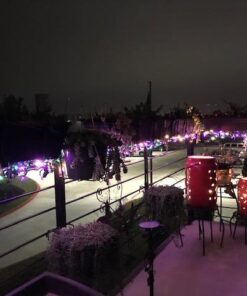 Coleman Cable 2001 Outdoor 24-Hour Mechanical Light Sensor Timer, Black 24-Hour with Light Sensor 26 517Eb4aH6dL