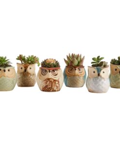 Alternative view of SUN-E SE Owl Pot Ceramic Flowing Glaze Base Serial Set Succulent Plant Pot Cactus Plant Pot Flower Pot Container Planter with Drainage Hole Home Office Desk Garden Gift Idea 6pcs 2.5 Inch