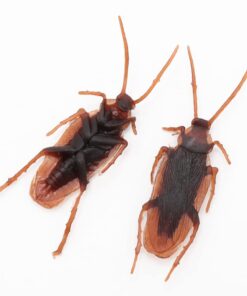 Cooplay 20PCS - Fake Roaches Prank - Cockroach Bugs Look Real Black Red 20 517UBTvhBkL