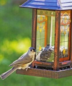 Wagner's 76029 Black Oil Sunflower Seed Wild Bird Food, 40-Pound Bag 24 517a iKNh8L