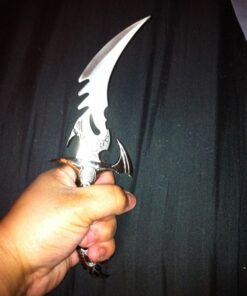 Ace Martial Arts Supply Draco Twin Fantasy Dagger Set, Silver Twin Draco 31 5181DARQbjL