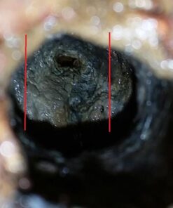 Sewer Jetter Kit 1/4" NPT x 100' Hose & 4.5 Orifice Button Nose Nozzle 4000 PSI 1/4 in. 22 518A RCJ4L