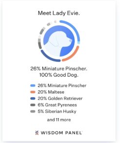 Wisdom Panel Breed Discovery Dog DNA Kit: Most Accurate Dog Breed Identification, Test for 365+ Breeds, MDR1 Health Test, Ancestry, Relatives 32 518G82Z XWL