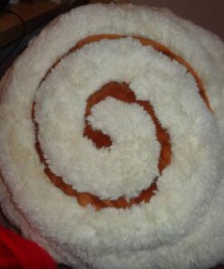 Squishable / Comfort Food Cinnamon Bun - 15" 16 518TtjR0bGL