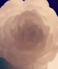 Oasis Supply 100 Piece Edible Rectangle Wafer Paper Pack, 8" by 11", White O-Grade Letter 8"x11" 43 518h35jg7BL