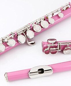Glory Closed Hole C Flute With Case, Tuning Rod and Cloth,Joint Grease and Gloves, Light pink 11 518v87jJo7L