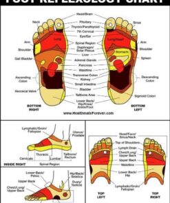 Men Size 11.5-13 HealthmateForever Acupressure Dynamic Glycerine Liquid Best Pain Relief Foot Insoles for Sore feet, Therapeutic Massaging Insoles, Help Improve Circulation, Diabetic feet Pain 13 5196KpBwtoL