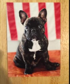 The Rap Year Book: The Most Important Rap Song From Every Year Since 1979, Discussed, Debated, and Deconstructed 36 51977sAyTbL