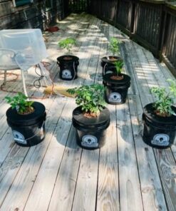 HTG Supply Bubble Brothers DWC Hydroponic System - 6-Site Classic 17 519ByFe McL