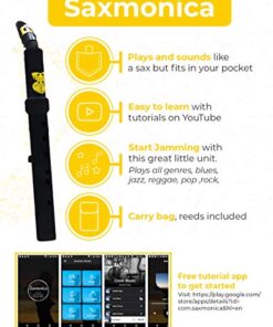 Sax on the go, Saxophone/Harmonica hybrid | Saxmonica pocket-sized acoustic reed based music instrument 12 519JkwF0IxL