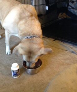 Ample Nutrition Complete Pet Prebiotic + Probiotic for Dogs & Cats, 60ct Pork Flavored Pearls 38 519bHZ6iCML