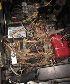 Life Floating Deluxe Bromine, Chlorine Tablet Dispenser for Small Pools or Spa 17 519bSw6gbQL