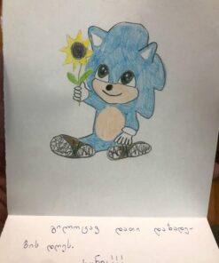 Sonic NKOK RC SSAS R2 Car with Lights, Blue (614) 25 519fMJDkSbL