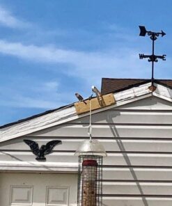 Perky-Pet 102 4 lb Squirrel Resistant Easy Feeder 34 519hhcSF9iL