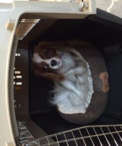 Petmate Ultra Vari Dog Kennel for Small to Medium Dogs (Durable, Heavy Duty Dog Travel Crate, Made with Recycled Materials, 28 in. Long) 25 to 30 lbs, Made in USA TAUPE/BLACK 28" 30 51A5zrbWWL