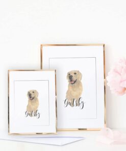 AMAZINK Compatible Replacement Ink Cartridge for Brother LC 203 Ink. Works with MFC-J480DW MFC-J880DW MFC-J4420DW MFC-J680DW MFC-J885DW Printers. 5 Pack (2xBlack, Cyan, Magenta, Yellow) 11 51AHMNlHEL