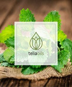 Teliaoils Lemon Balm Salve, Fast Acting/Natural Salve. Cold Sores - Skin Rashes - Irritated Skin - Itchy Skin. (1.7 Oz / 50 Ml) 1.76 Ounce (Pack of 1) 24 51ALObueWQL