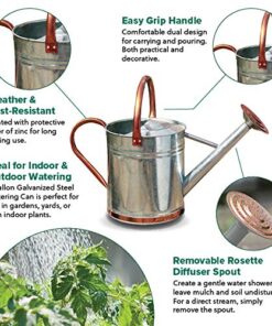 Gardman 8326 Galvanized Steel Watering Can with Copper Accents, 1-Gallon 14 51AWSOcRAL