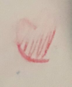 Prismacolor Col-Erase Erasable Colored Pencils, 12 Pack 12 Count (Pack of 1) 45 51AbAujktoL