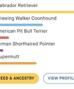 Embark Breed Identification Kit | Most Accurate Dog DNA Test | Test 350+ Dog Breeds | Breed ID Kit with Ancestry & Family Tree 46 51Adbhvz5cL