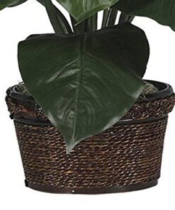 Nearly Natural 6518 Spathyfillum with Wicker Silk Plant Green 5 51AnZtDcvFL