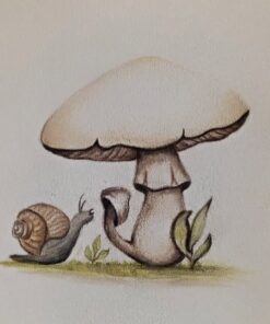 Derwent Colored Drawing Pencils, Metal Tin, 24 Count (0700672) 24 Count (Pack of 1) 41 51B 3g4W00L