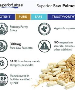 Superior Labs — Saw Palmetto Extract NonGMO, Non Synthetic— 300 mg Dosage, 120 Vegetable Capsules — Supports Urinary Tract Flow & Frequency 22 51B9Wp0sg3L 1