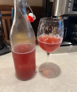 QUARTER POUND Original Water Kefir Grains Exclusively from Florida Sun Kefir with 12 Brewing Bags Mild Sweetness to Tart 0.25 Ounce (Pack of 4) 21 51BBLlwudnL