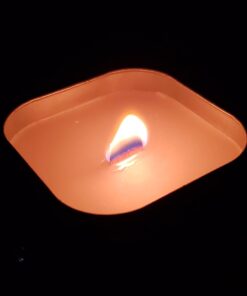 Coleman Pine Scented Citronella Candle with Wooden Crackle Wick - 6 oz Tin Pine Scent 28 51BMfLKjmwL