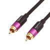 Amazon Basics RCA Audio Cable for Stereo Speaker or Subwoofer with Gold-Plated Plugs, 50 Foot, Black 50 Feet 20 51BR5UPeMiL