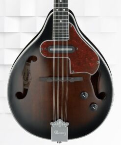 Ibanez, 8-String Mandolin, Right, Dark Violin Sunburst (M510EDVS) 10 51C1xWFQZVL