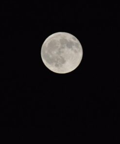 Opteka 500mm/1000mm f/8 Manual Telephoto Lens for Nikon F-Mount D6, D5, D4, DF, D850, D810, D780, D750, D700, D610, D500, D7500, D7200, D7100, D5600, D5500, D5300, D5200, D3500, D3400, D3300, D3200 67 51C38FurzaL