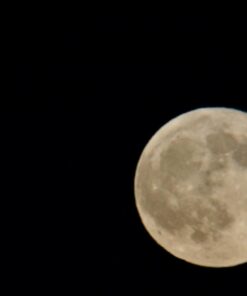 Opteka 500mm/1000mm f/8 Manual Telephoto Lens for Nikon F-Mount D6, D5, D4, DF, D850, D810, D780, D750, D700, D610, D500, D7500, D7200, D7100, D5600, D5500, D5300, D5200, D3500, D3400, D3300, D3200 68 51C7038uieL