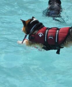 Paws Aboard Dog Life Jacket - Keep Your Canine Safe with a Neoprene Designer Life Vest - Perfect for Swimming and Boating - Red, Medium 23 51CDv75EgrL
