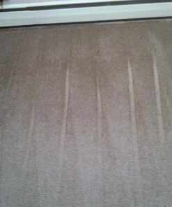 Carpet Miracle - Carpet Cleaner Shampoo Solution for Machine Use, Deep Stain Remover and Odor Deodorizing Formula, Use On Rug Car Upholstery and Carpets (32FL OZ) Spring Mint Scent 32 Fl Oz (Pack of 1) 47 51CGN4tDa7L