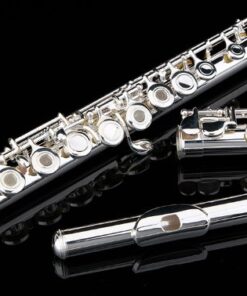 Glory Silver Plated Intermediate Open/Closed Hole C Flute with Case,Tuning Rod,Polish Cloth,Joint Grease,a pair of Gloves and screw driver 16 Open Hole 13 51CJYZGkDL