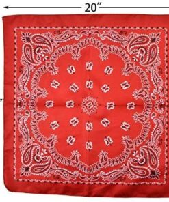 JOYIN Toy Pack of 12 Childs Straw Cowboy Hats with Cowboy Bandannas (6 Red & 6 Blue) Christmas Party Favors 24 51CNH8Ez2vL