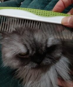Dog Comb for Removes Tangles and Knots - Cat Comb for Removing Matted Fur - Grooming Tool with Stainless Steel Teeth and Non-Slip Grip Handle - Best Pet Hair Comb for Home Grooming Kit - Ebook Guide 28 51CaVziHm6L